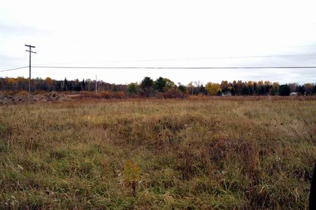 Paul Bunyan Drive-In Theatre - The Lot